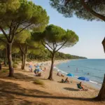 Le spiagge con pineta in Italia: Perché offrono ombra naturale ed esperienza diversa dal solito