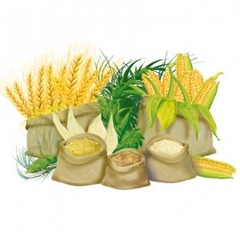 Legumi e farine